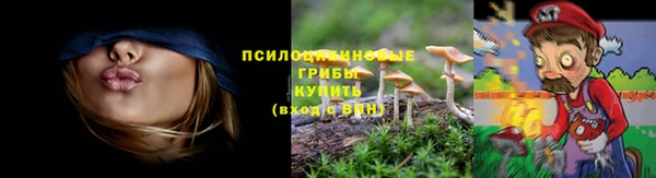 ECSTASY Балахна
