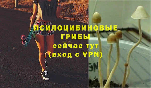ECSTASY Балахна