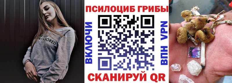 Псилоцибиновые грибы ЛСД ОМГ ОМГ маркетплейс Биробиджан